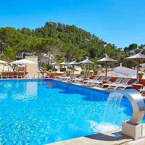 book here